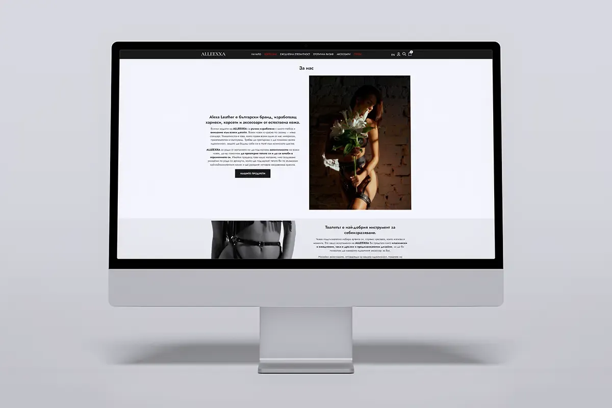 ALLEEXXA online store homepage with promotional banner and product section shown on a desktop monitor